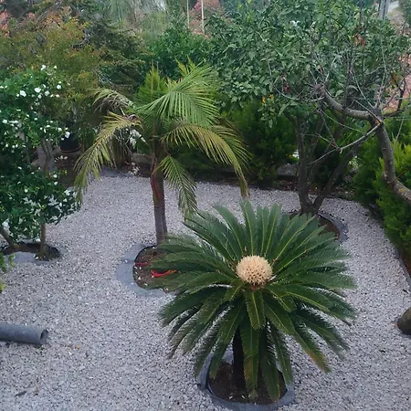 アパート Peragi - Triple With Balcony And Private External Bathroom モルナット