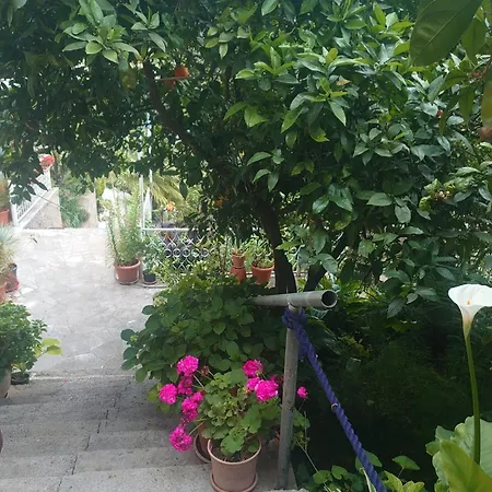 Peragi - Triple With Balcony And Private External Bathroom דירה