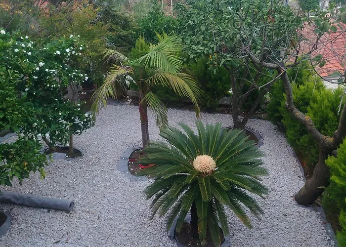 公寓 Peragi - Triple With Balcony And Private External Bathroom 莫鲁纳特